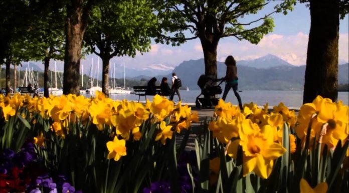 Lucerne – A Swiss City
