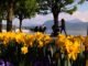 Lucerne – A Swiss City