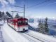 Rigi Tour Package from India